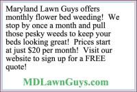 Maryland Lawn Guys image 4